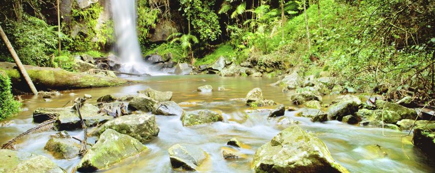 Tamborine Mountain