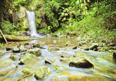 Tamborine Mountain