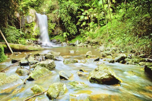 Tamborine Mountain