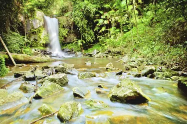 Tamborine Mountain