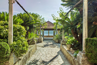 Trsteno Arboretum