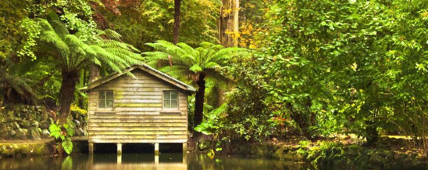 Dandenong Ranges National Park
