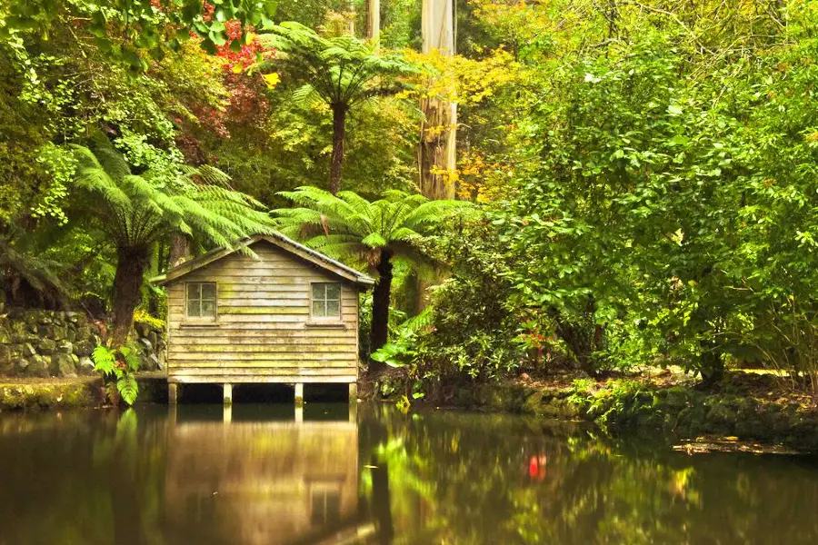 Parc national de la chaîne Dandenong