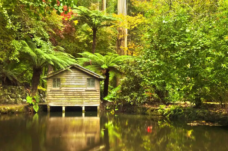 5_Dandenong Ranges National Park