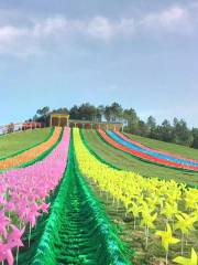 Feihong Grass Skiing