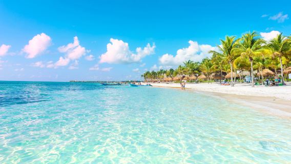 Тур на катамаране по Исла-Мухерес с сноркелингом, открытым баром и обедом по системе шведский стол