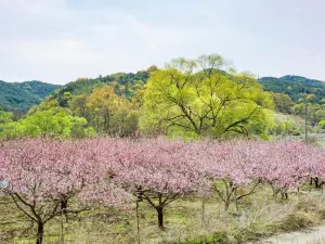 桃花島風景區