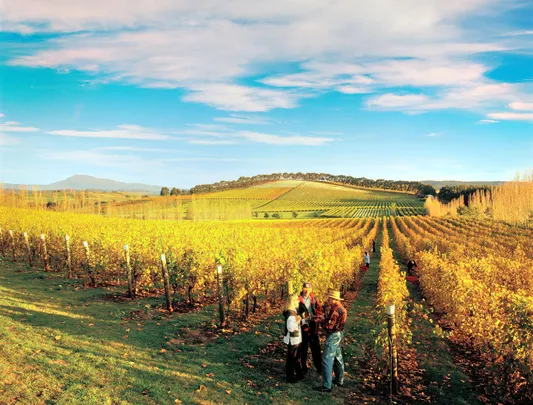 1_澳大利亞塔馬谷