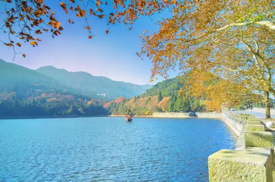 廬山國家級旅遊風景名勝區-蘆林湖附近的飯店