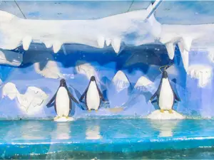 新鄉人民公園海洋館