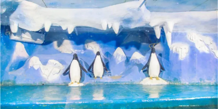 新鄉人民公園海洋館