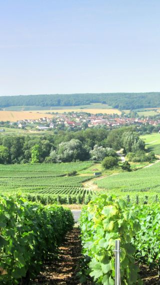 France Paris departure champagne region 1-day tour | Taste 8 types of champagne + winery visit + includes lunch