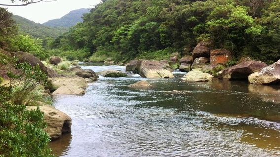 Taketomi