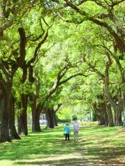 McLeod Plantation Historic Site