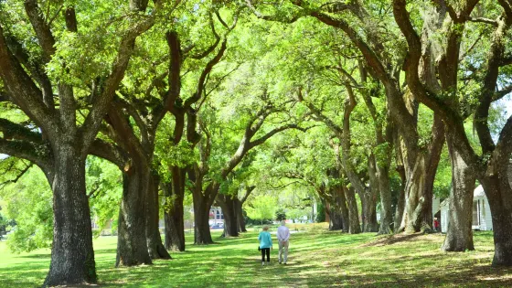 McLeod Plantation Historic Site