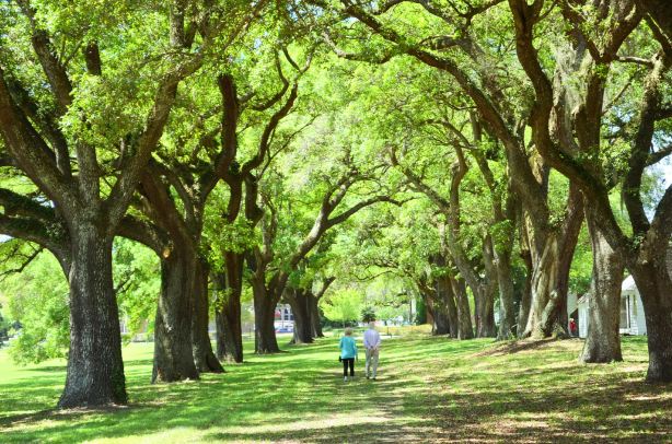 McLeod Plantation Historic Site