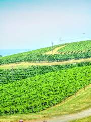 Carter Mountain Orchard and Country Store