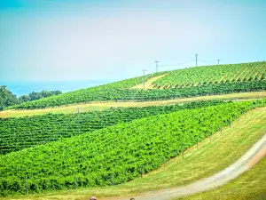 Carter Mountain Orchard and Country Store