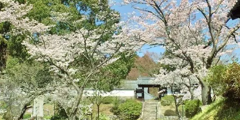柳生芳德禪寺