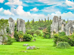 Stone Forest Scenic Area