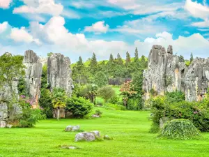 Stone Forest