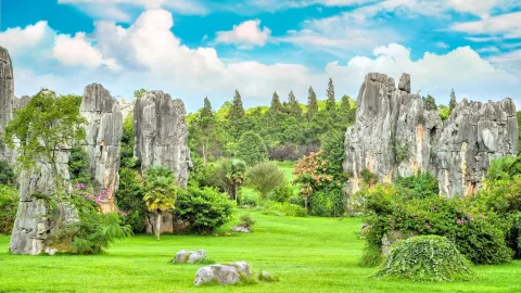 Stone Forest Scenic Area attraction in Kunming