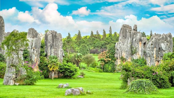 Stone Forest Scenic Area
