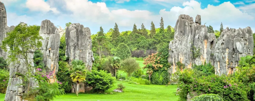 Stone Forest Scenic Area