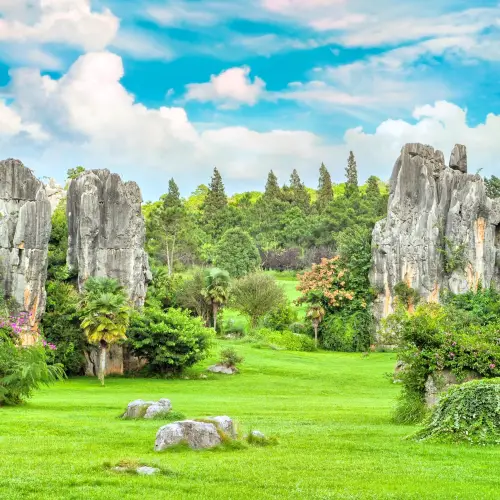 Stone Forest Scenic Area