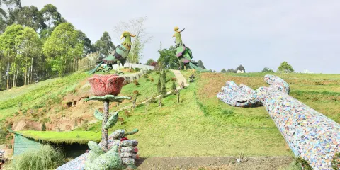 神蜜園玫瑰花溪穀