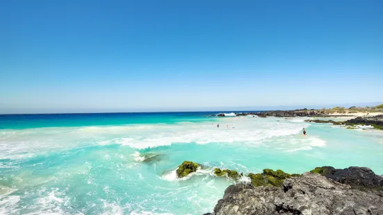 Manini'owali Beach (Kua Bay)