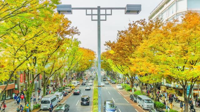 表參道Hills