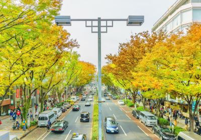 oak omotesando