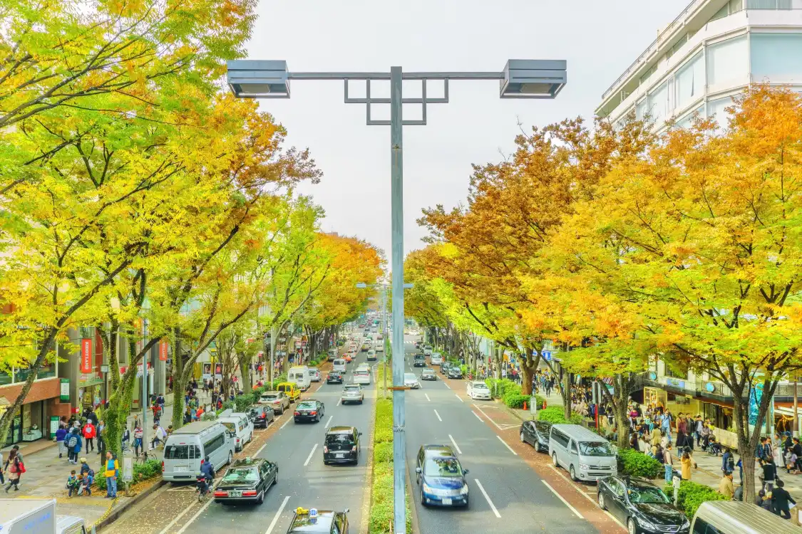 Hotels near Omotesando Hills