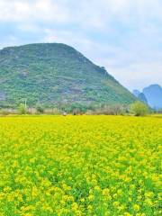 Tianxin Village