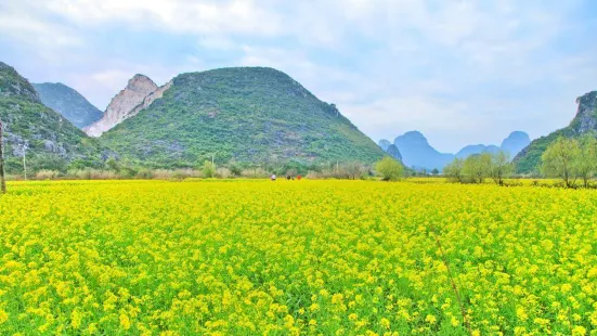 Tianxin Village