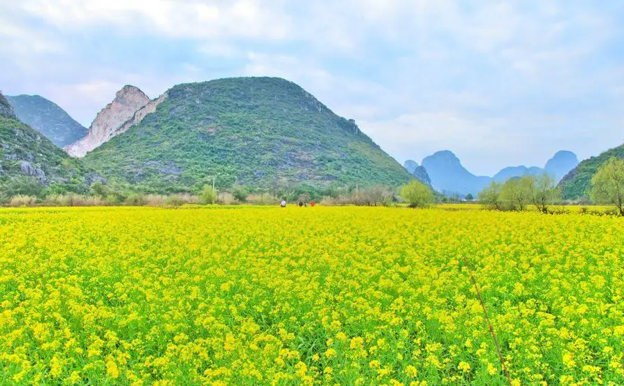 田心村