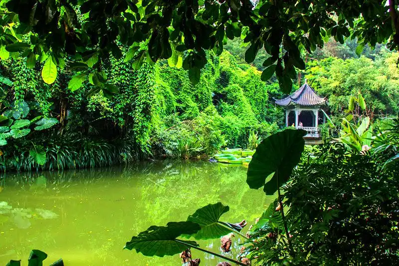 Hotel in zona Qingxiushan Rain Forest Landscape