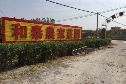 和泰农家庄