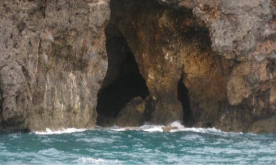 Bat Caves