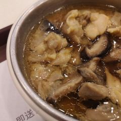 ZHEN GONG FU User Photo