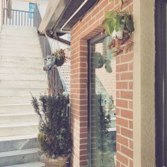 Money Shops User Photo