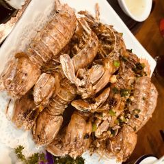 HDX-OYSTER User Photo