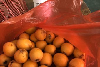 肯德基(张家港华昌路DT店) User Photo