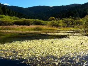 Mounigou Scenic Area