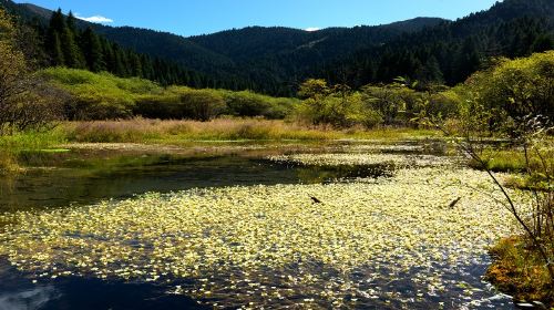 Mounigou Scenic Area