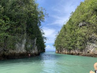 Snapshots from Cebu 🌺🏝Stayed at the beautiful newly opened Dusit Thani and visited the Bojo River Nature Reserve 🙏🏼 #philippines