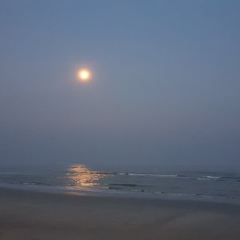 Luna Lanai Ocean and Beachfront Restaurant ảnh của người dùng