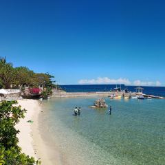 Fiji Restaurant User Photo