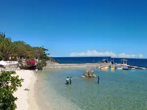 Fiji Restaurant